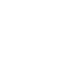Blackhole Incorporation